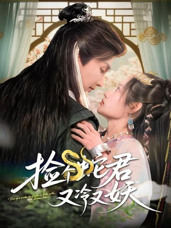 2025年6月20日合集目录2 素材