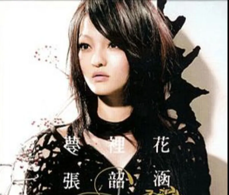 张含韵-梦里花 电视剧