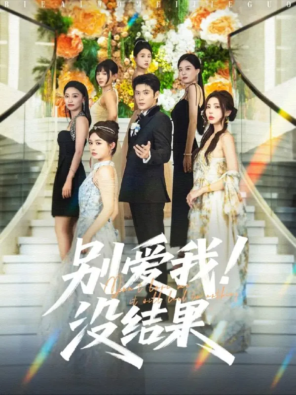 别爱我没结果 电视剧