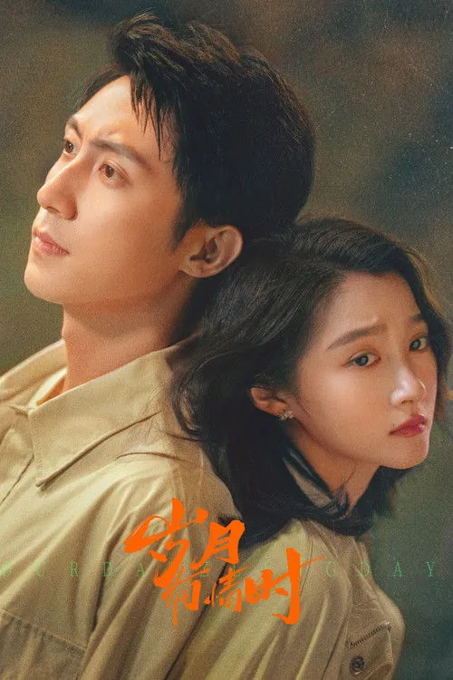 岁月有情时 电视剧