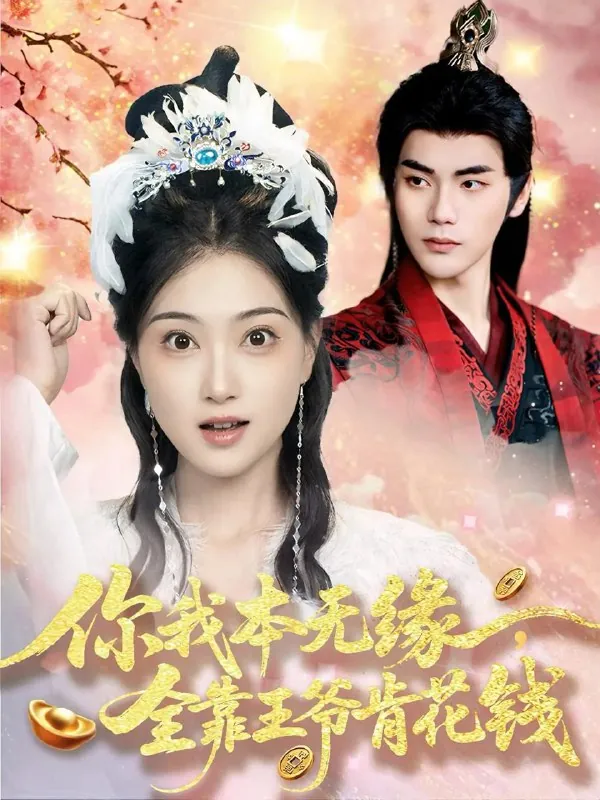 2025年6月13日合集目录7 素材