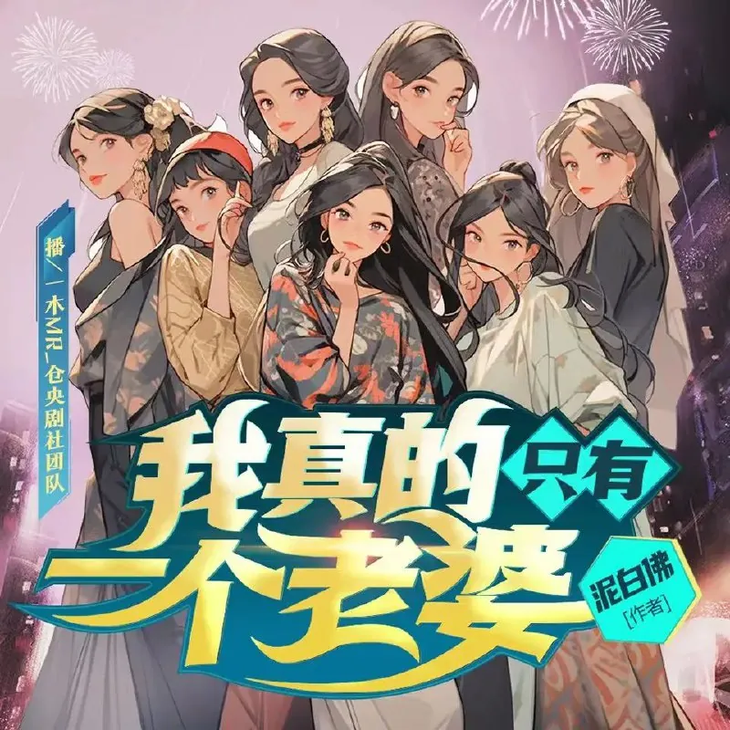 我真的只有一个老婆 小说