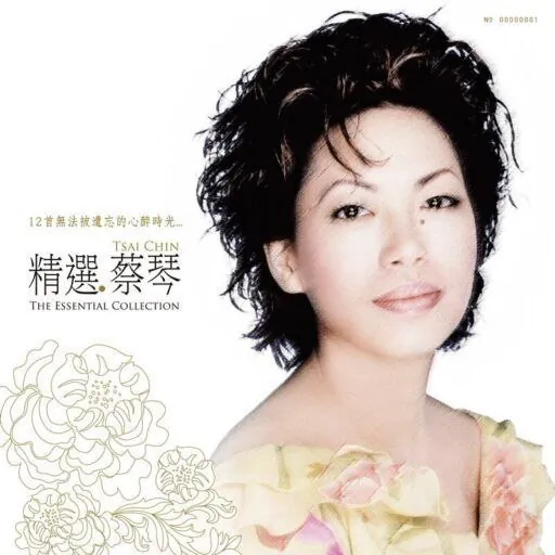 精选·蔡琴 音乐