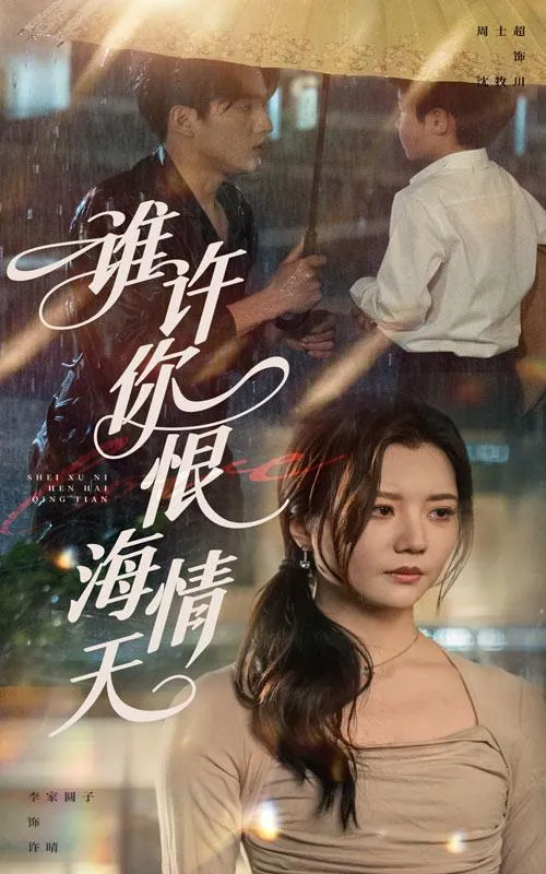 谁许你恨海情天 电视剧