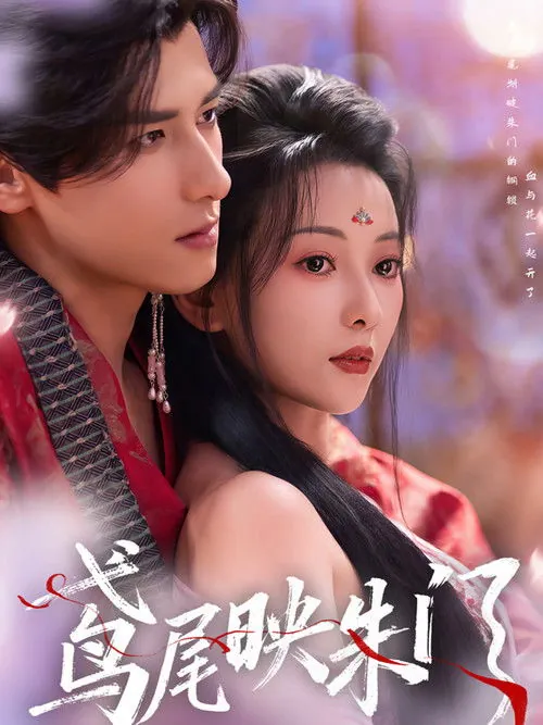 鸢尾映朱门 电视剧