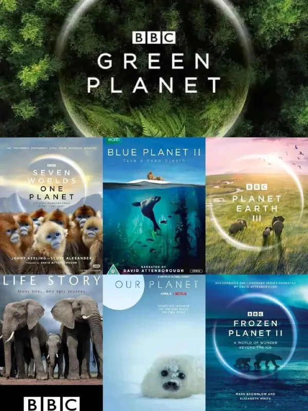 经典纪录片大合集