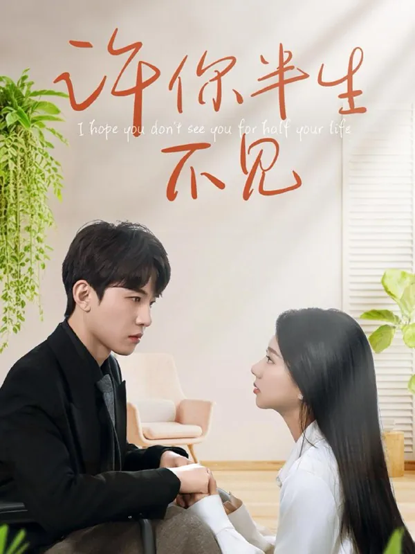 许你半生不见 电视剧
