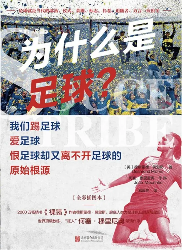 为什么是足球？ 有声