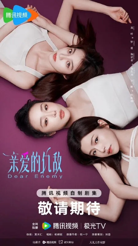 亲爱的仇敌 小说