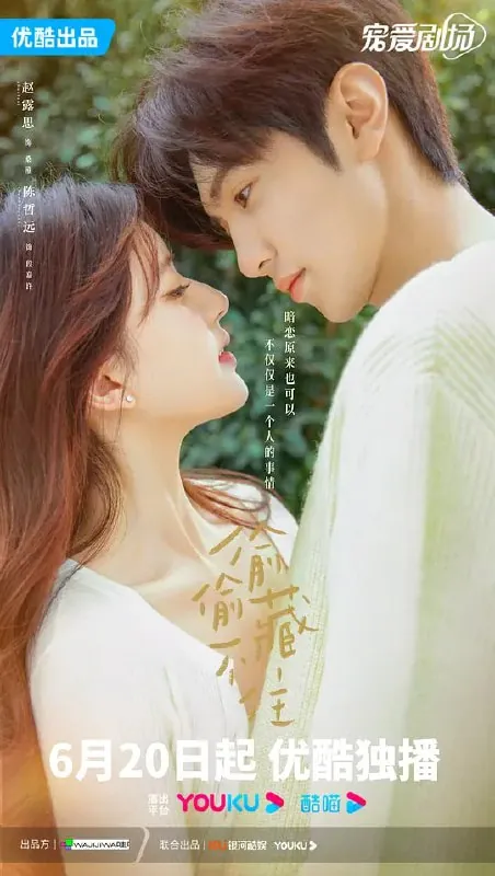 偷偷藏不住 电视剧