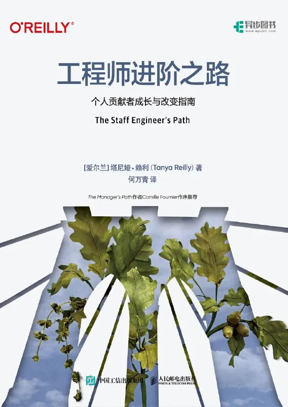 工程师进阶之路：个人贡献者成长与改变指南 书籍