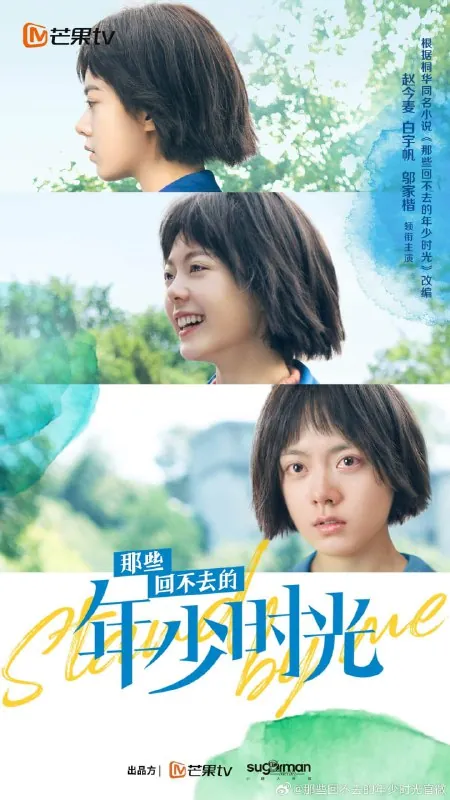 那些回不去的年少时光 电视剧